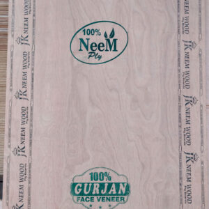 Neem-Plywood-Darpan